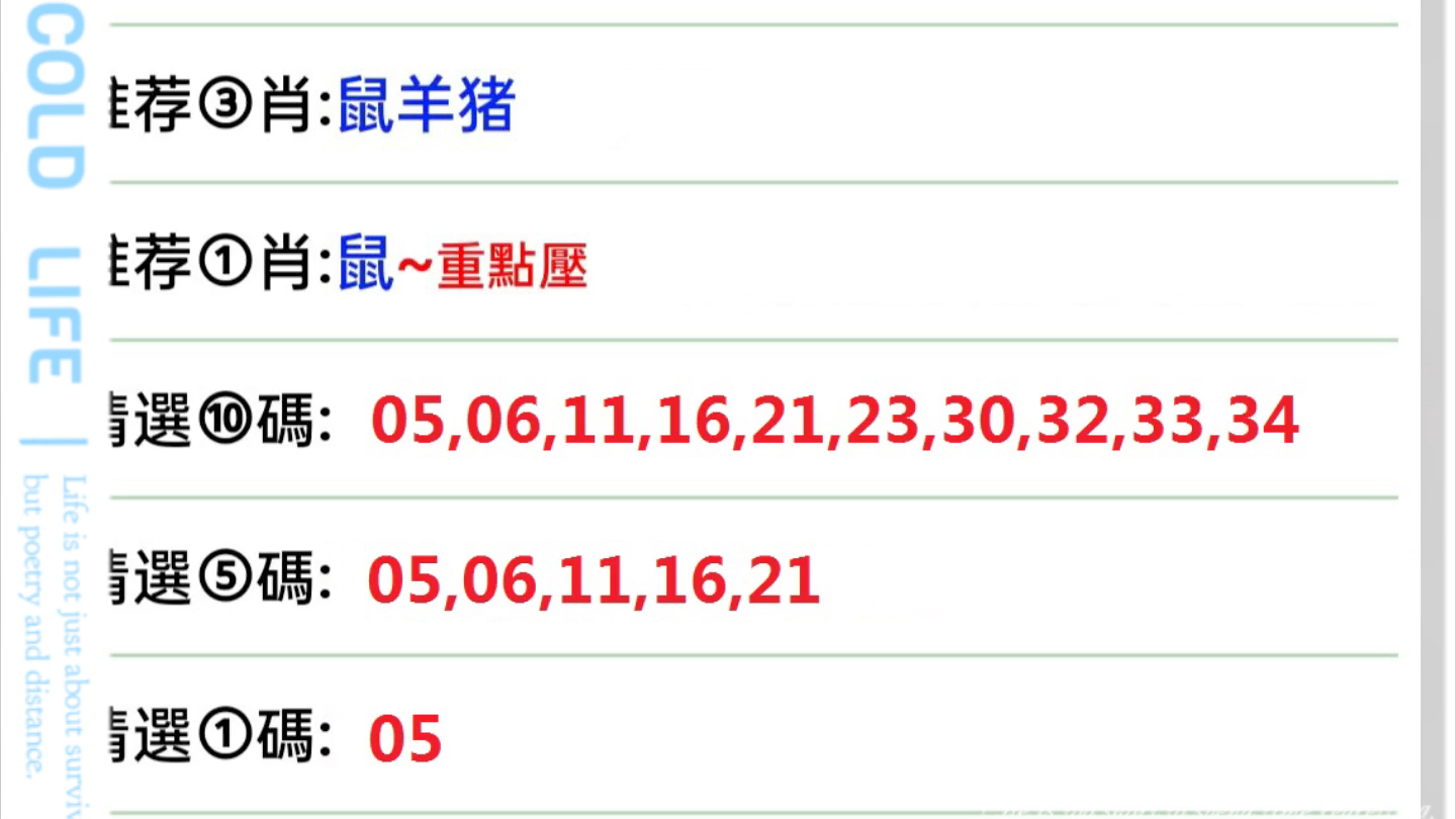 今晚澳门9点35分生肖;/实用释义解释落实